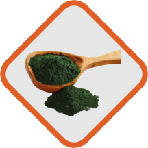 Spirulina